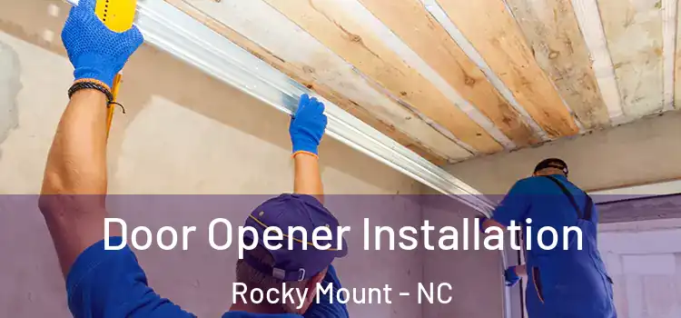  Door Opener Installation Rocky Mount - NC