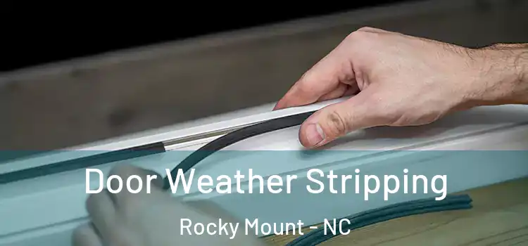 Door Weather Stripping Rocky Mount - NC