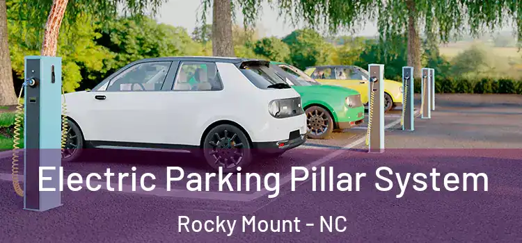  Electric Parking Pillar System Rocky Mount - NC