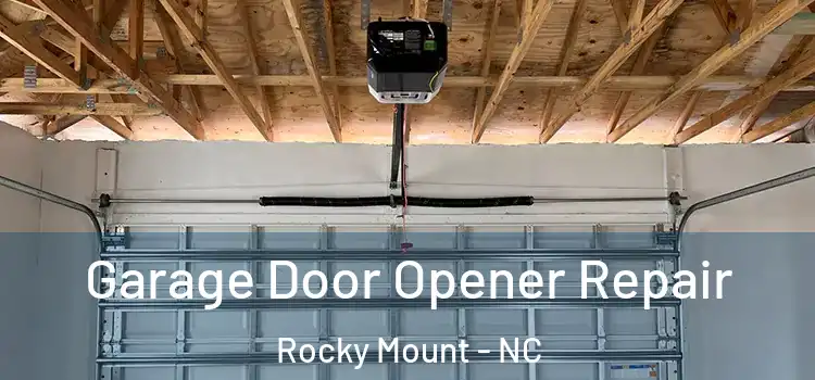 Garage Door Opener Repair Rocky Mount - NC