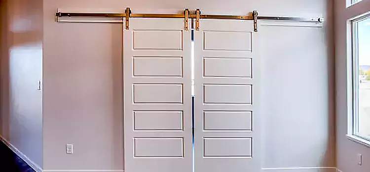 Glass Barn Door with Installation Hardware Kit Rocky Mount