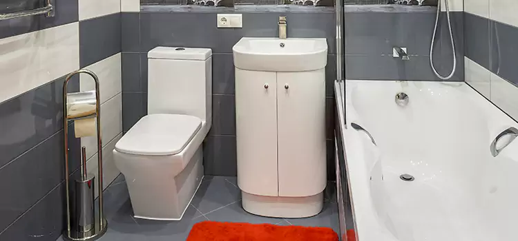 Hansgrohe Shaving Mirror Rocky Mount