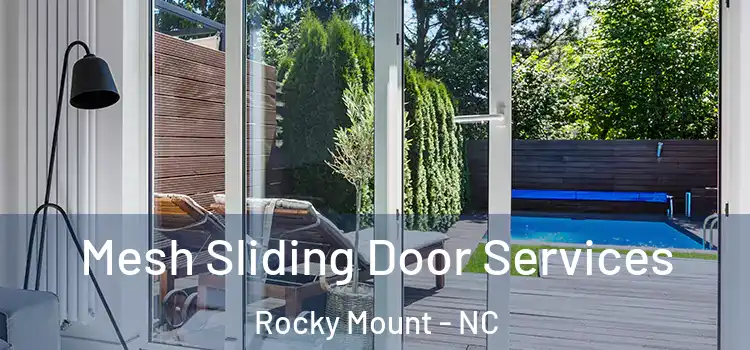  Mesh Sliding Door Services Rocky Mount - NC
