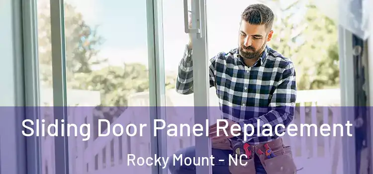  Sliding Door Panel Replacement Rocky Mount - NC